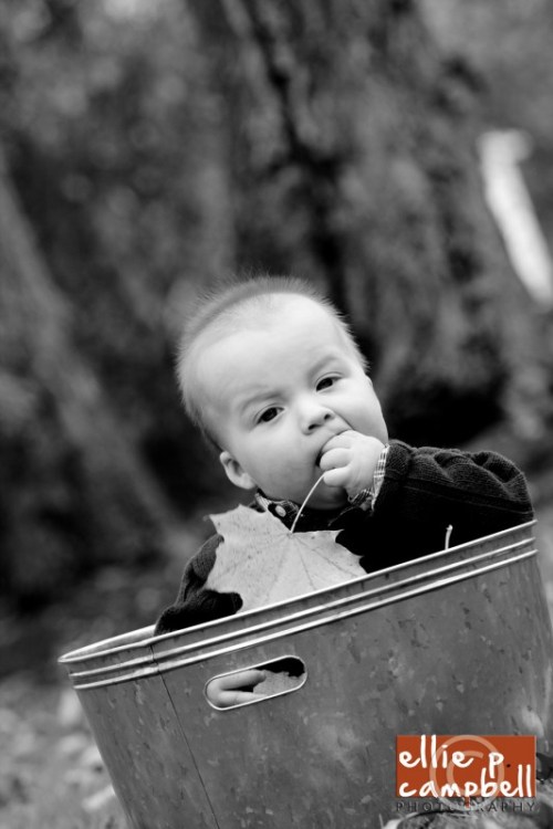 Jack in bucket with leaves