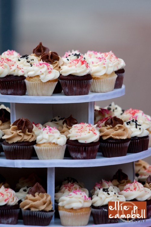 Edible Sarasota launch party Edible Sarasota launch party