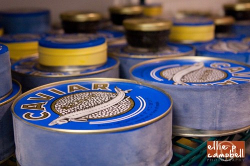 Caviar jars and cans