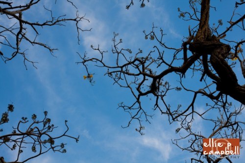 sunset over the bay sunset over the bay