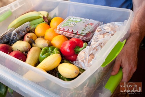 Sun Coast Organics Sun Coast Organics