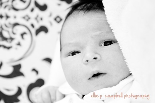 John Sullivan John Sullivan