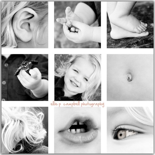 Rowan Precious Parts Rowan Precious Parts