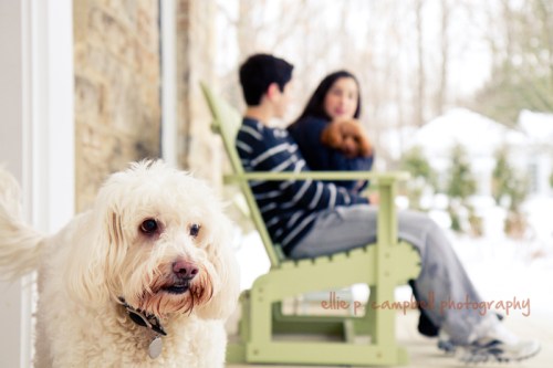 Pete, Chad, Dana, and Oliver Pete, Chad, Dana, and Oliver