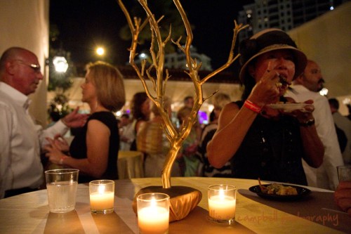 SFF 2011 Opening Night