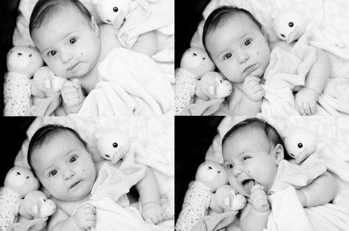 T, 12 weeks T, 12 weeks